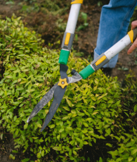 Gartenlandschaftsbau